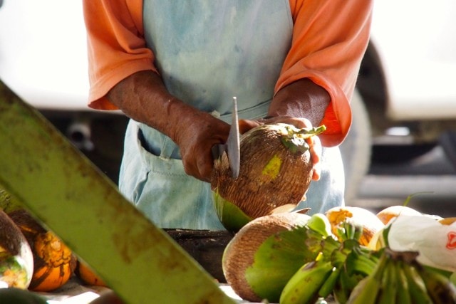 Fresh Crucian Coconut | SBPR