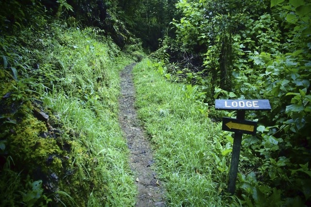 Hiking Around Trogon Lodge | SBPR