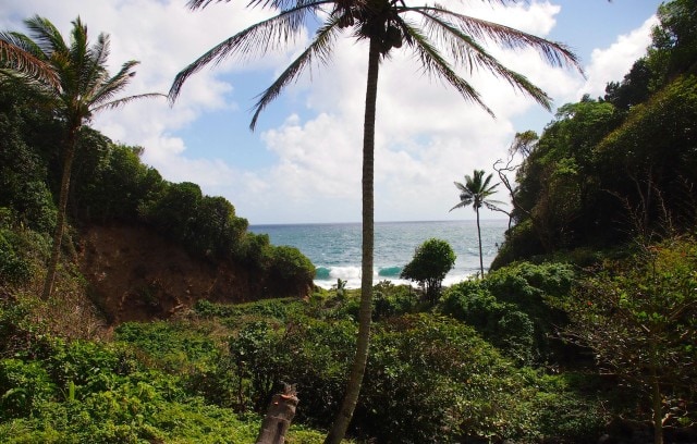 Oceanview along the Waitukubuli Trail | SBPR