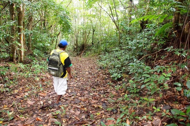 On the Waitukubuli Trail | SBPR