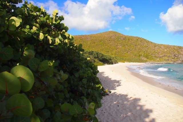 Early Morning, Baie de Petites Cayes, St. Martin | SBPR