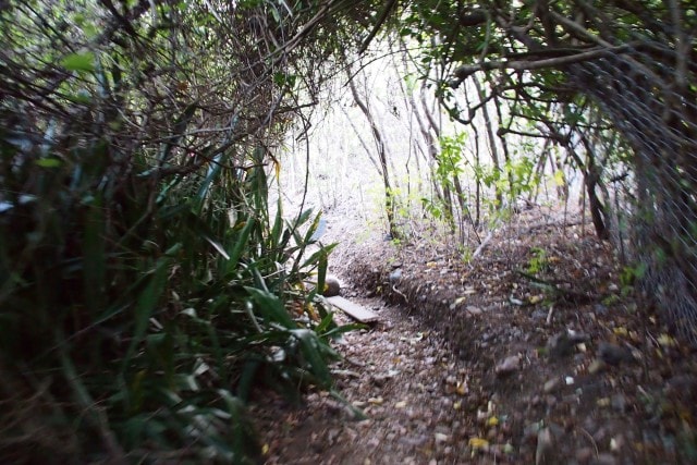 Entrance to Secret Beach Trail | SBPR