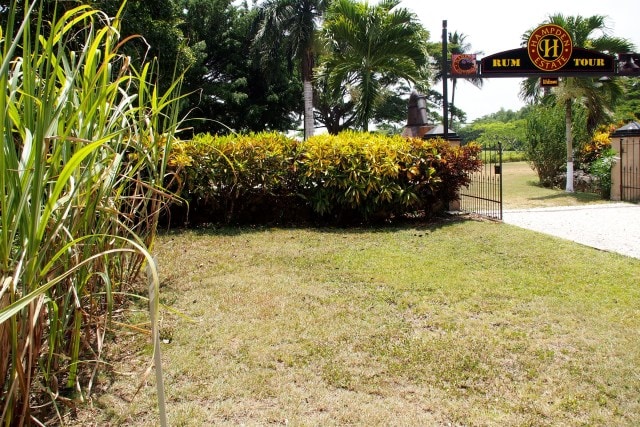 Hampden Estate in Trelawny, Jamaica | SBPR