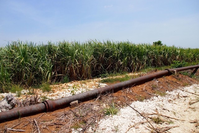 Hampden Estate water pipe | SBPR