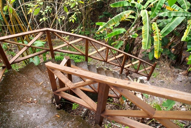 Trail Shop Stairs into the Wilds of Windwardside, Saba | SBPR