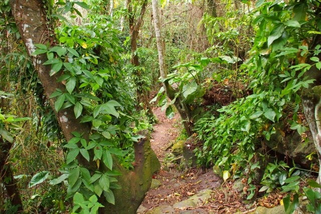 Further along the Trail Shop Trail, Saba | SBPR