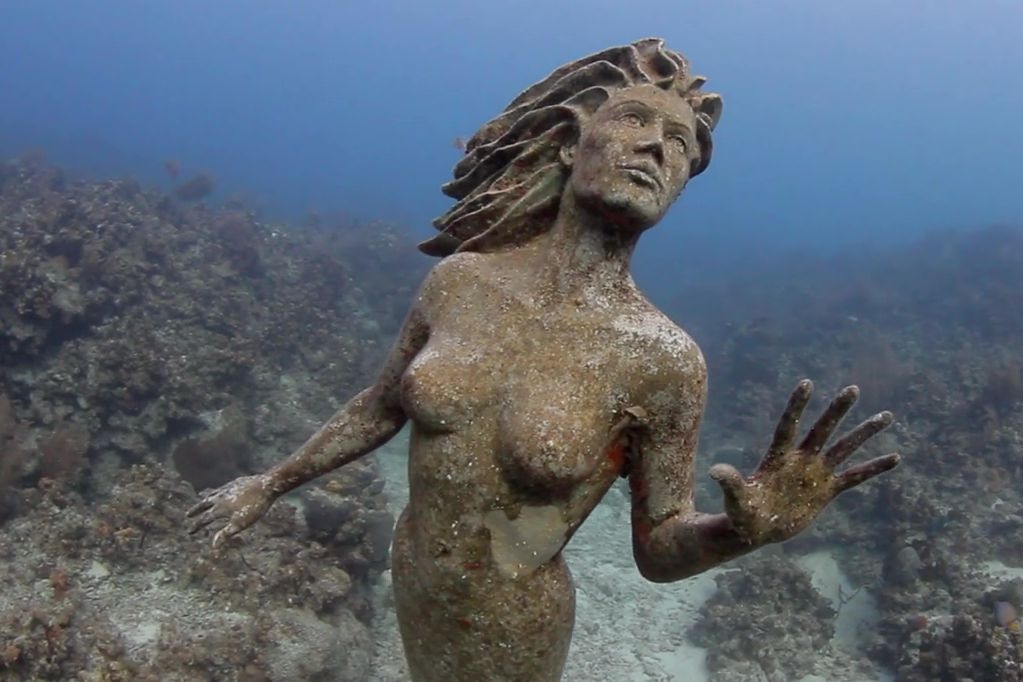 Amphitrite, Grand Cayman