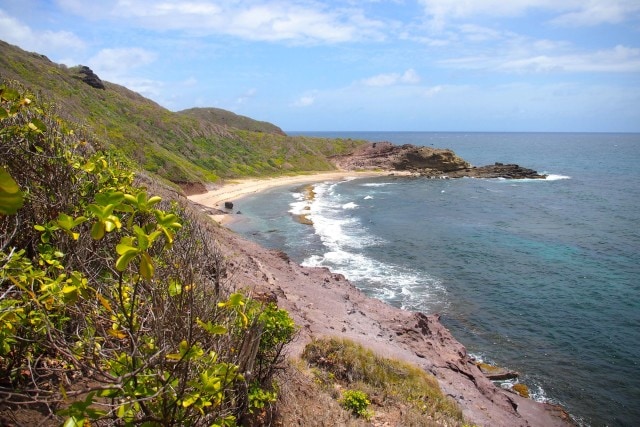 Anse Baraban, one of the forbidden beaches inside Martinique's Caravelle Peninsula | SBPR
