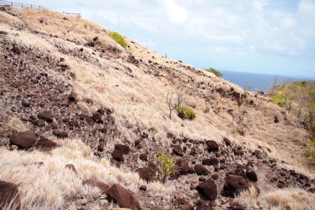 Caravelle Peninsula grasslands | SBPR