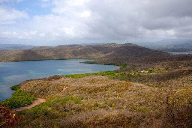 Looking back at Martinique from the highest point in the Caravelle Peninsula (elevation: 515 feet) | SBPR