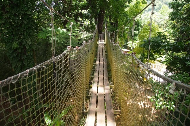 Treetop Trail suspension bridge | SBPR