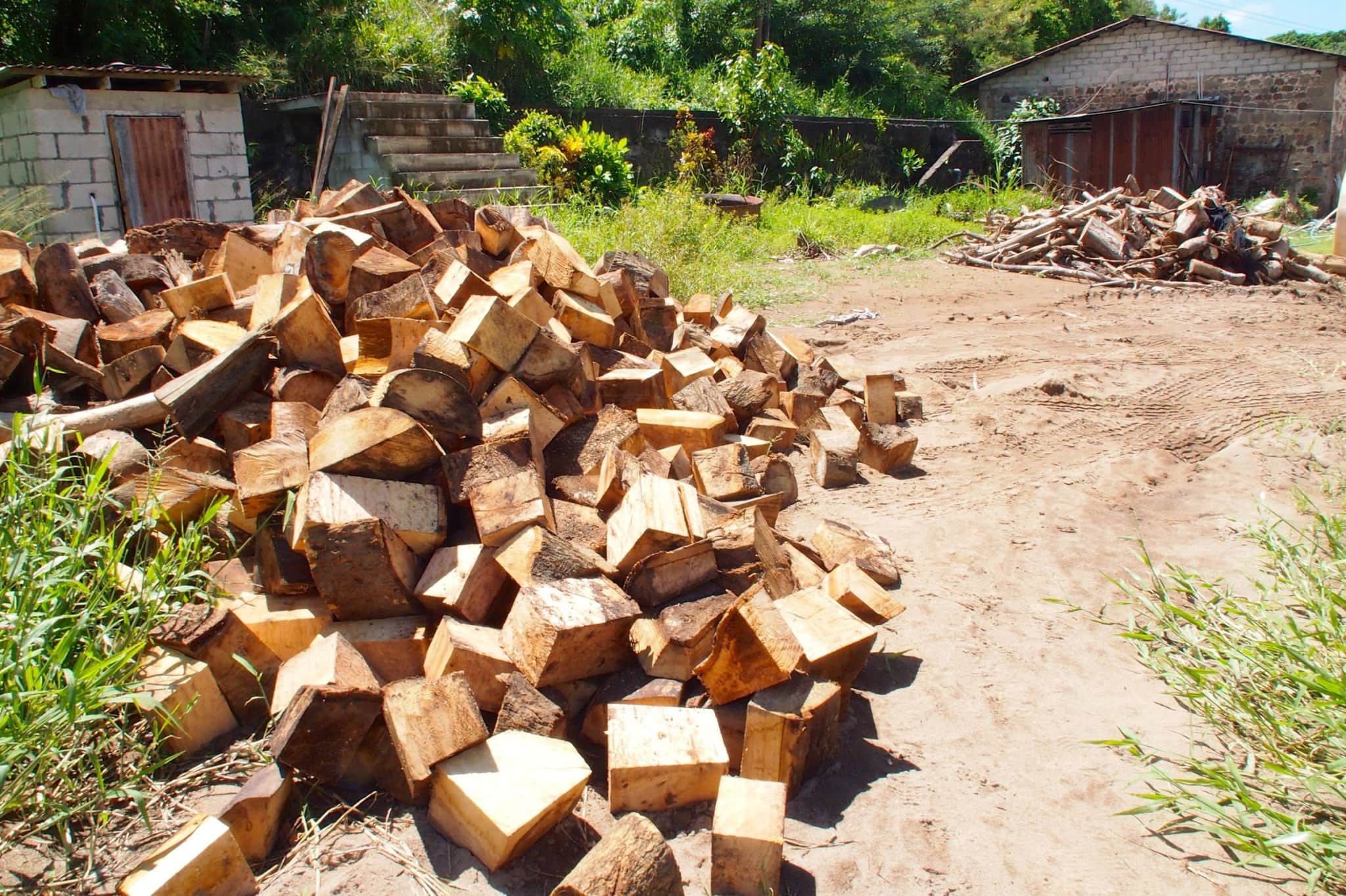 Firewood at Macoucherie | SBPR