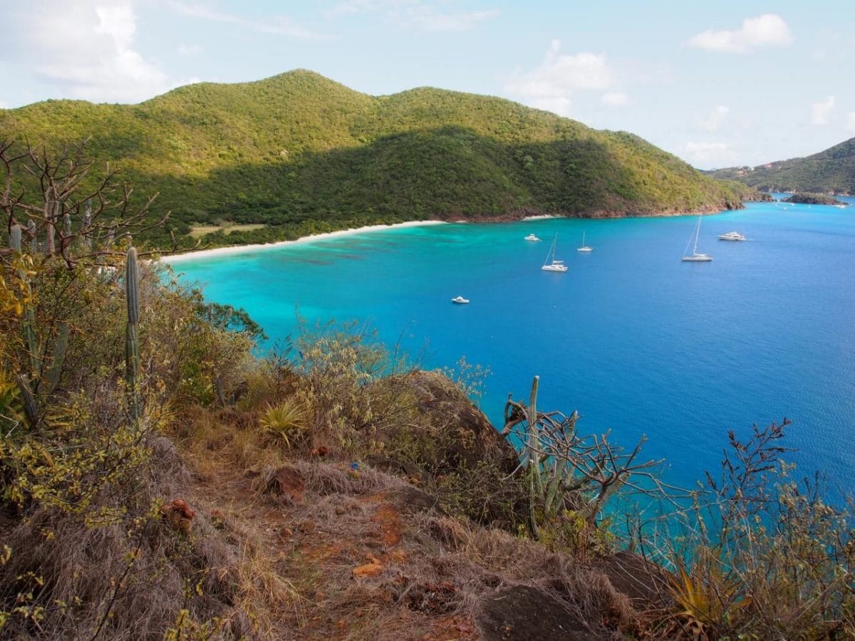 Guana Island Archives - Uncommon Caribbean