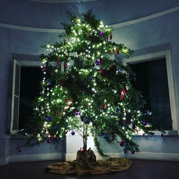 Traditional Crucian Inkberry Christmas Tree on display at Whim Greathouse, St. Croix | Credit: Rhea Abramson