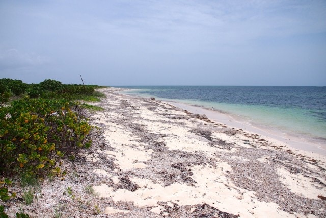 Super-secluded Mule Point Beach on Provo, Turks and Caicos | SBPR