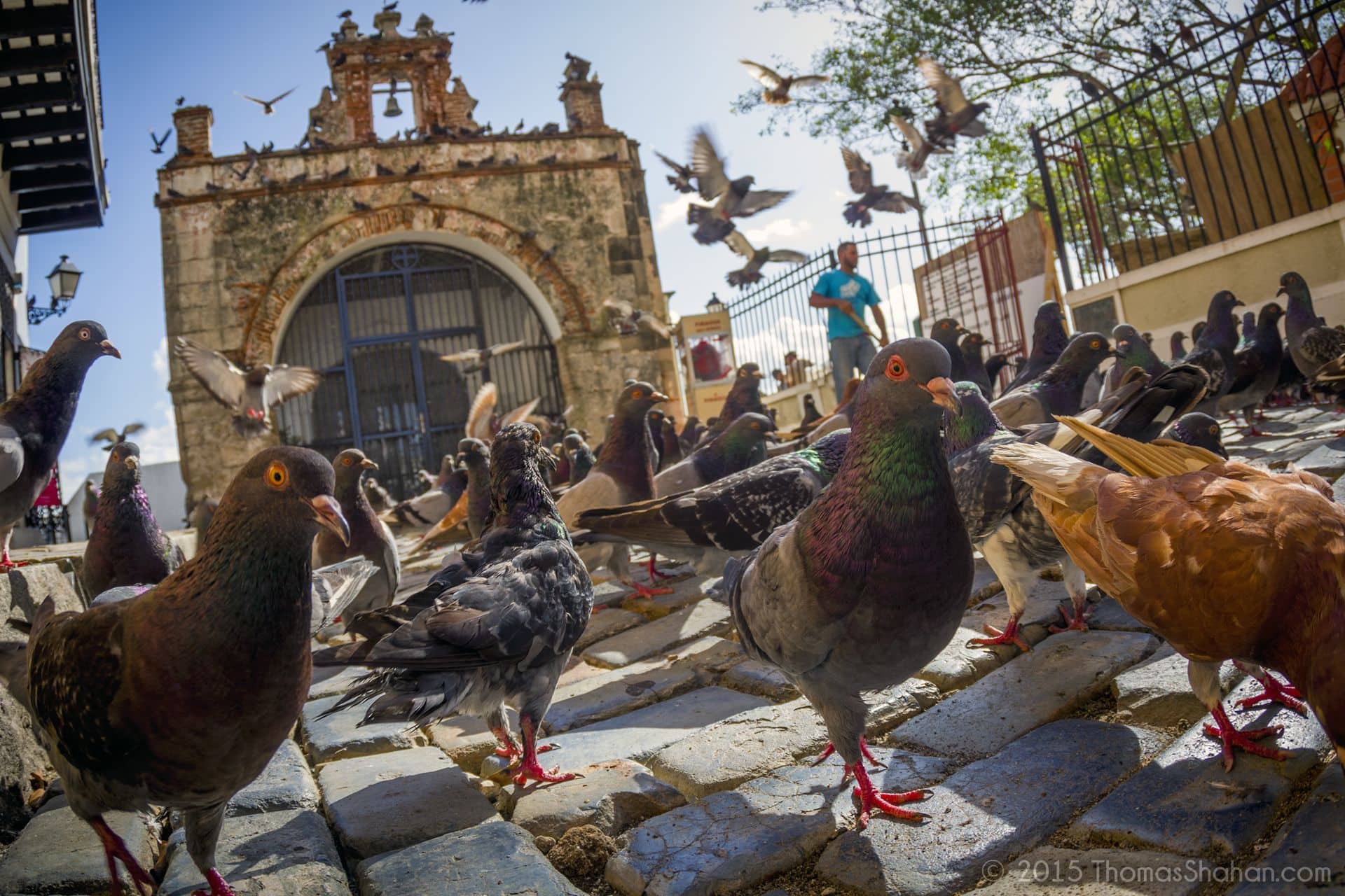 Plaza de las Palomas