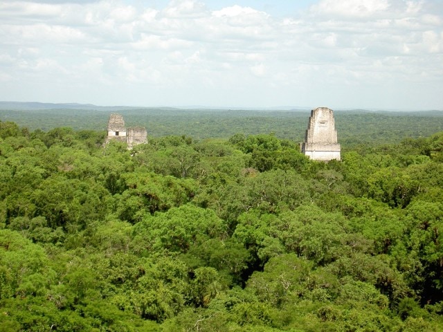 Temples of Tikal, Guatemala | Credit: Flickr user Mike Murga