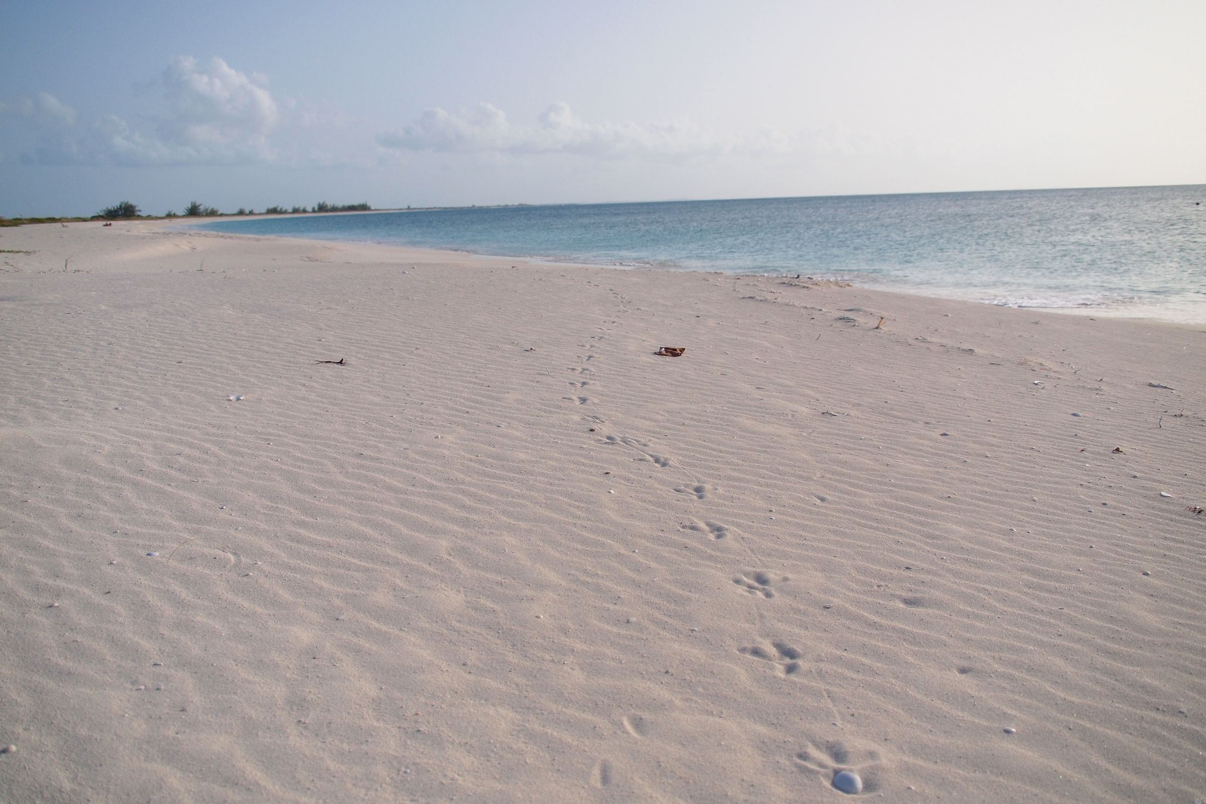 Pine Cay, Turks and Caicos