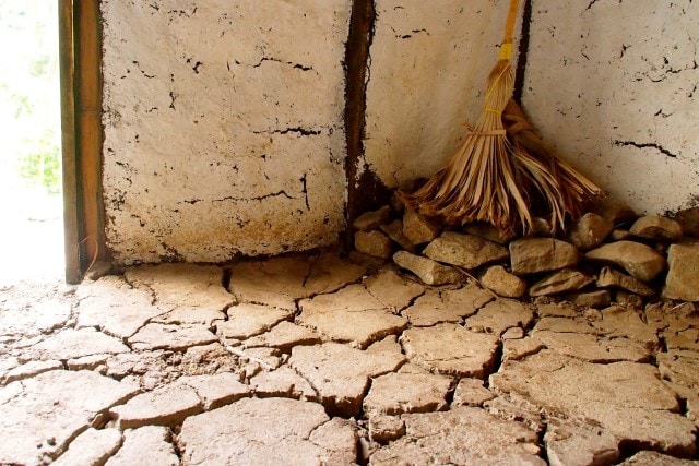 Cracked floor at La Savane des Esclaves, Martinique | SBPR