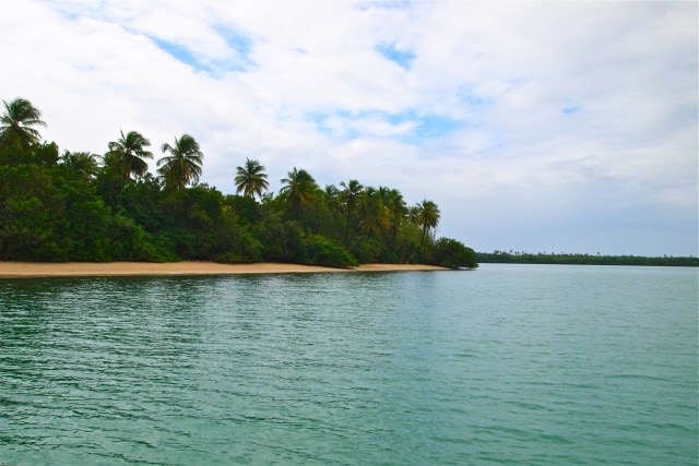 Lush Tobago coastline | SBPR