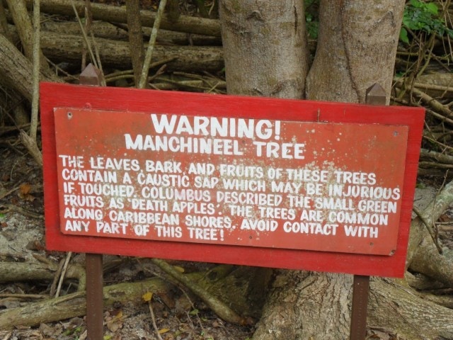 Manchineel warning sign in St. John, U.S. Virgin Islands | Credit: Flickr user arctic_whirlwind