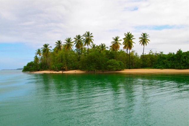 Tropical Tobago | SBPR