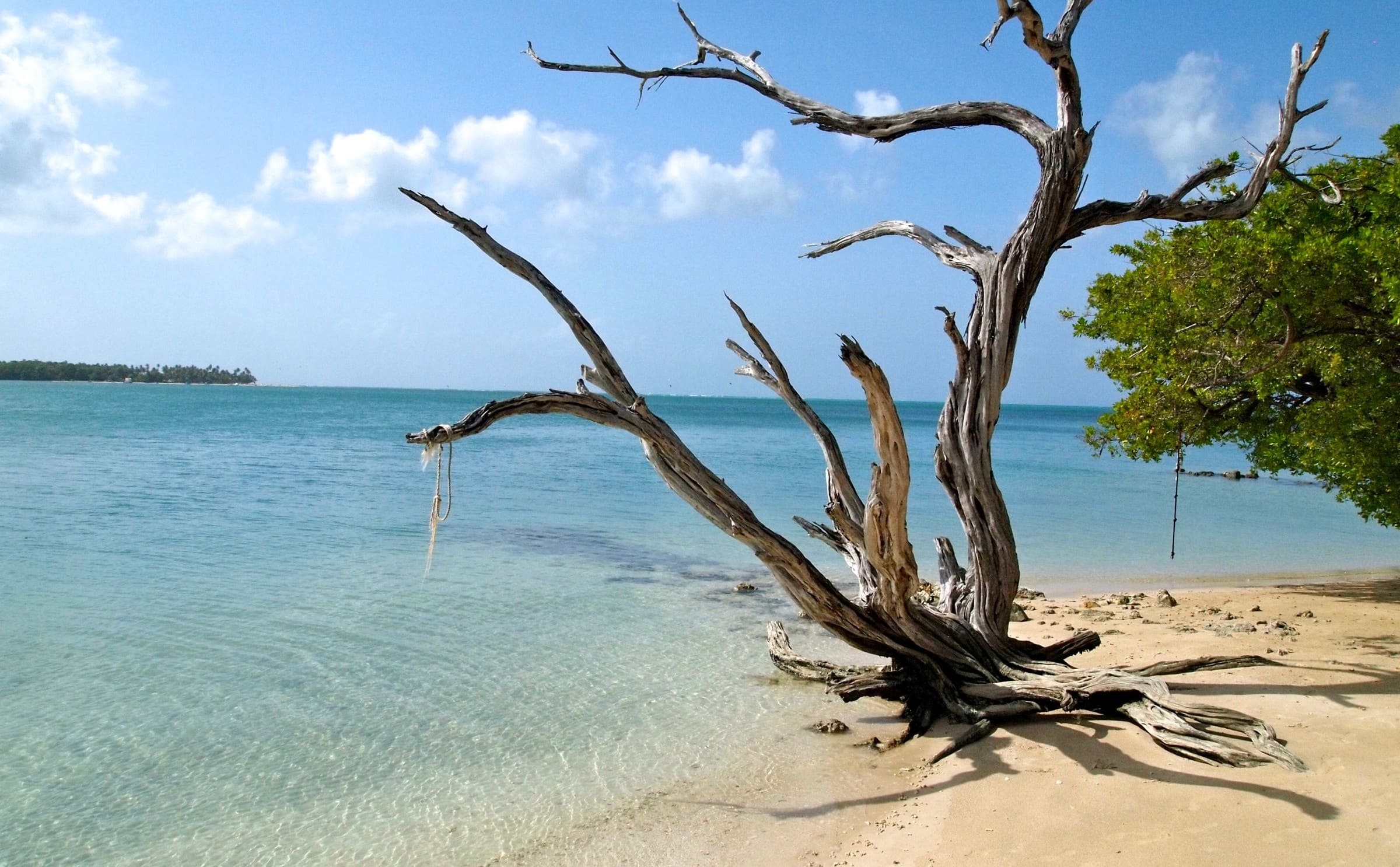 No Man's Land Tobago