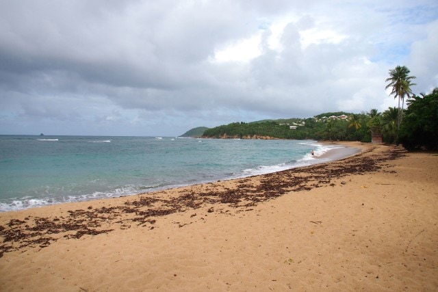 Anse l'Etang, Tartane, Martinique | SBPR