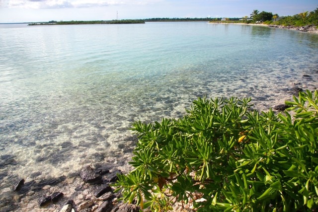 Flats just offshore Deep Water Cay | SBPR