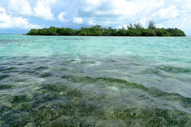 Limpid seas around the Grand Bahama Cays | SBPR