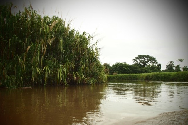 On the River to Mawamba Lodge, Costa Rica | SBPR