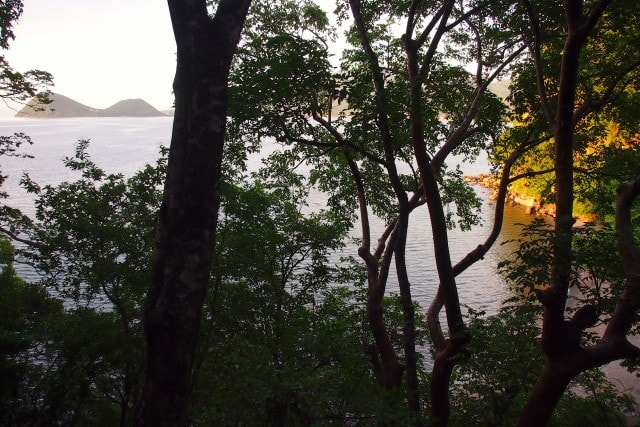 View Through the trees from my bungalow at Secret Bay, Dominica | SBPR