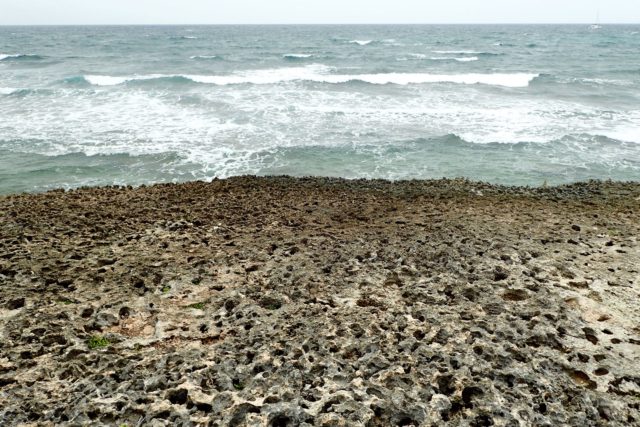 Oh yeah, it's rocky atop this islet... | SBPR