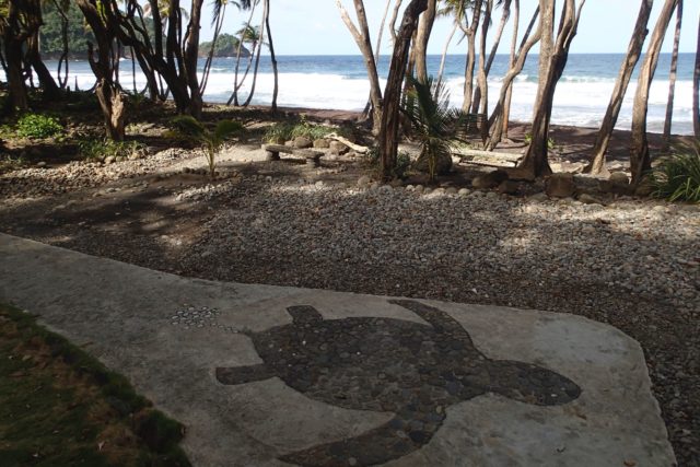 This way to turtles at Rosalie Bay, Dominica | SBPR