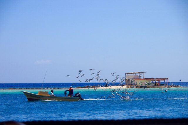 The floor show out on the water at Zeerovers in Savaneta, Aruba | SBPR