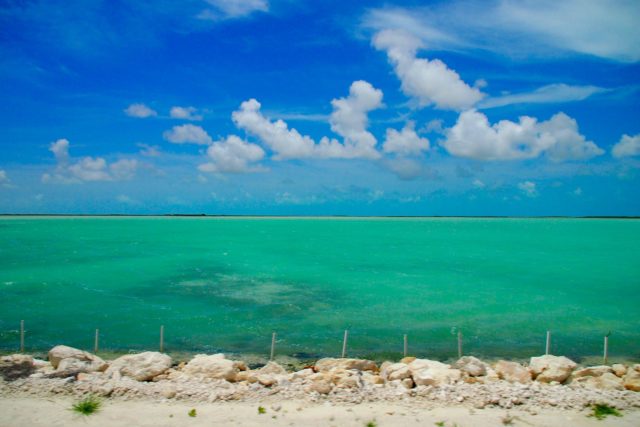 Super-scenic drive in the Turks and Caicos Islands | SBPR