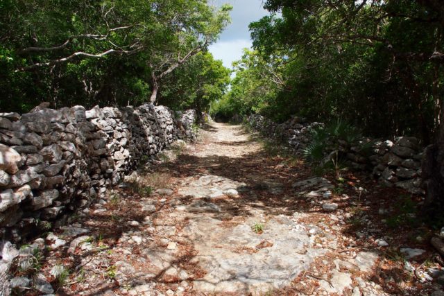 Path to Wade's Green Plantation, North Caicos | SBPR