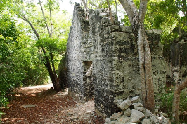 Wade's Green Plantation Ruins | SBPR