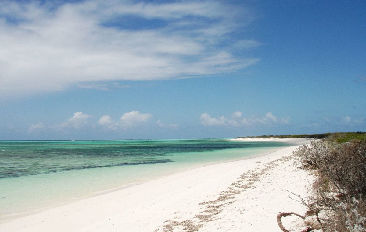 Cow Wreck Beach, Anegada: Photo of the Day