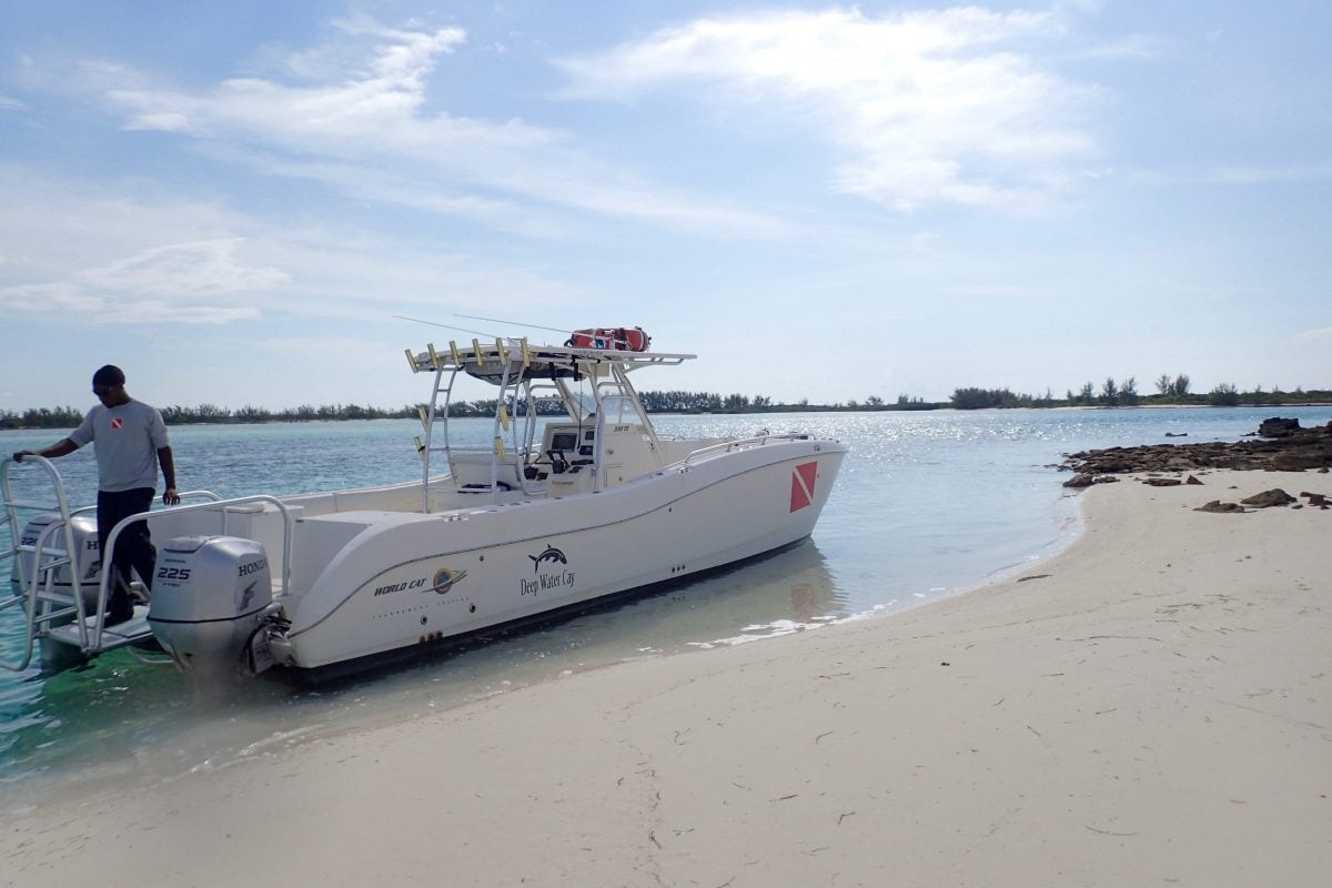 Checking Into Deep Water Cay, The Bahamas
