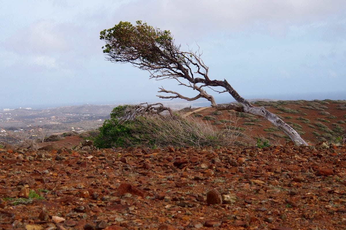 Rugged Arikok Landscape