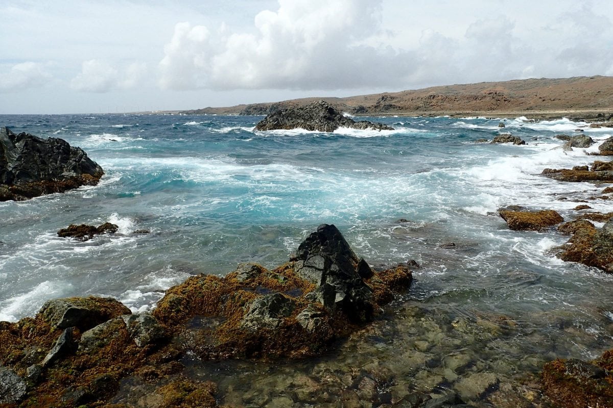 Rugged Conchi coast