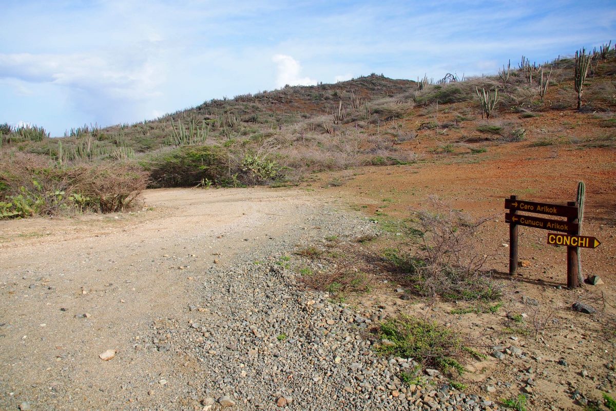 Conchi Natural Pool Aruba path