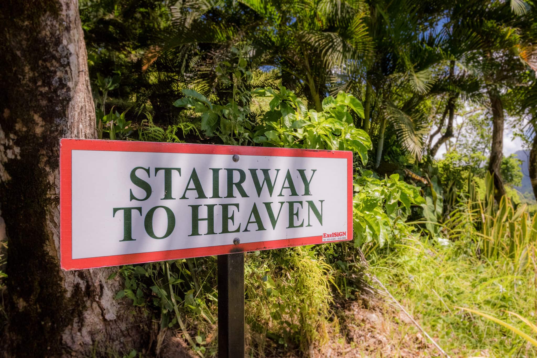 Tet Paul Stairway to Heaven sign by Patrick Bennett