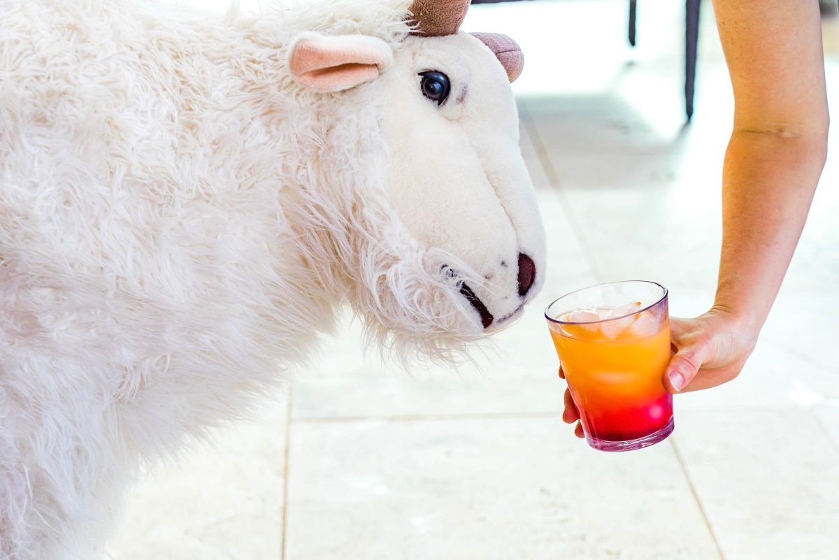 Billy the Goat at Tequila Sunrise Villa by Patrick Bennett