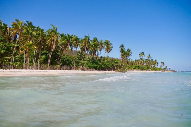 Palm-lined and pristine, Bananier Beach, Haiti | SBPR