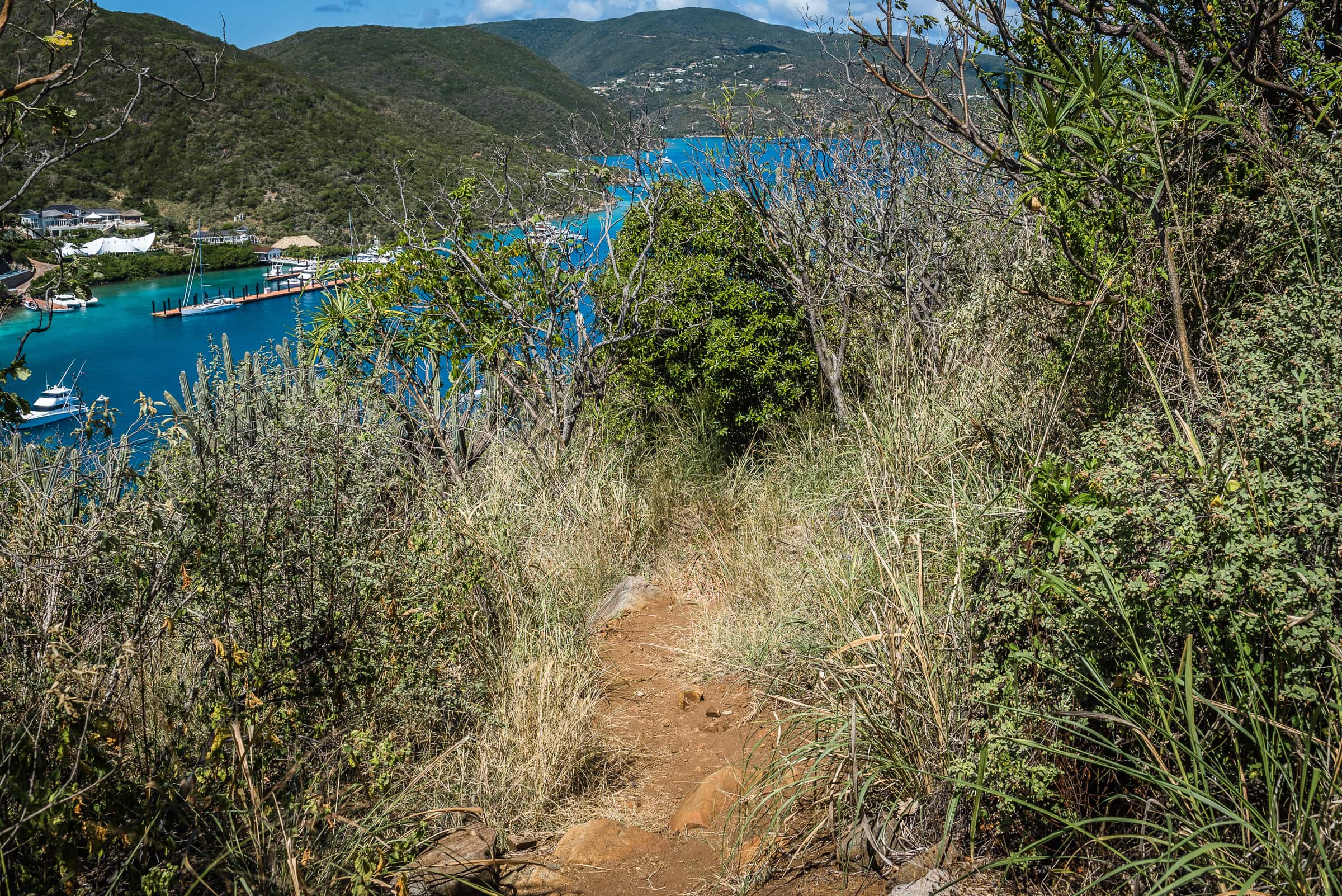 British Virgin Islands Hiking by Patrick Bennett