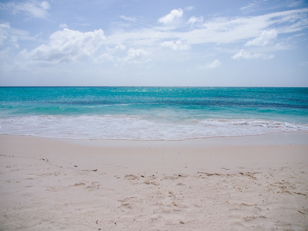 Eagle Beach, Aruba breeds smiles