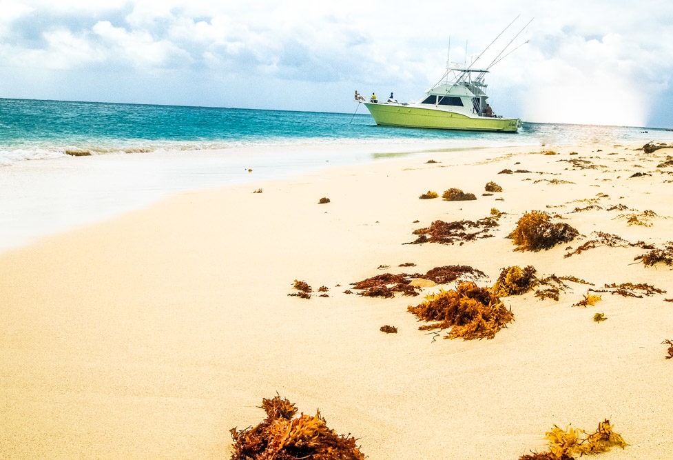 Happily Beached at Buck Island, St. Croix