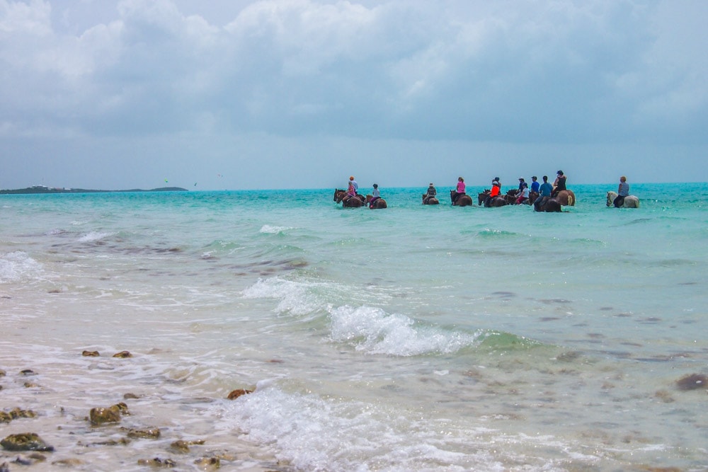 Horseback riding in the sea off Long Bay, Provo